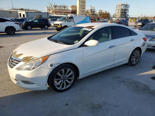 2013 Hyundai Sonata SE