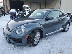 Volkswagen salvage cars for sale: 2017 Volkswagen Beetle 1.8T