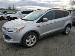 Ford Escape salvage cars for sale: 2014 Ford Escape SE