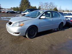 Toyota Corolla salvage cars for sale: 2008 Toyota Corolla CE