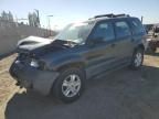 2003 Ford Escape XLT