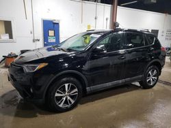 2016 Toyota Rav4 XLE en venta en Blaine, MN