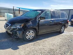 2007 Honda Odyssey EXL en venta en Arcadia, FL