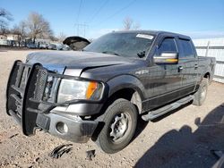 Salvage Cars with No Bids Yet For Sale at auction: 2013 Ford F150 Supercrew