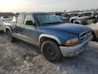 2002 Dodge Dakota SLT