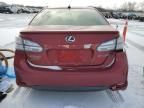 2010 Lexus HS 250H