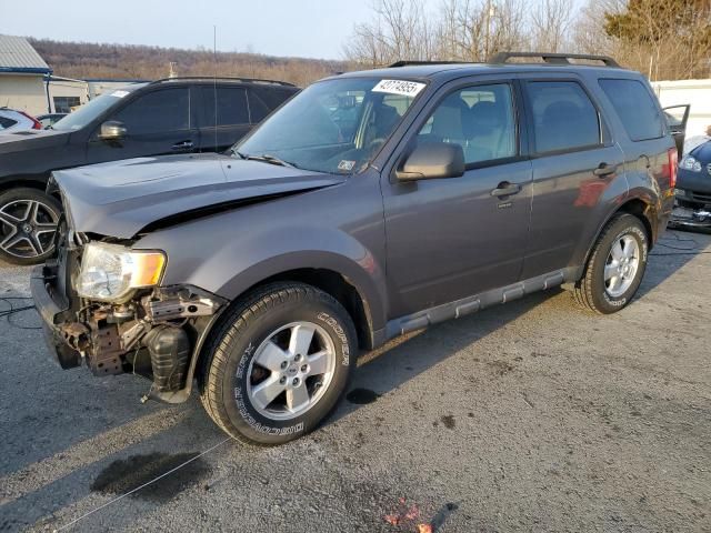 2011 Ford Escape XLT