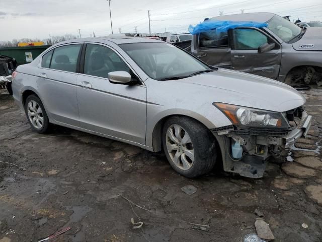 2010 Honda Accord EXL