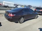 2004 Lexus ES 330