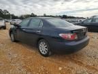 2004 Lexus ES 330