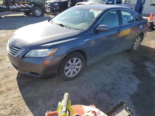 2009 Toyota Camry Hybrid