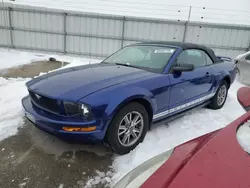 2005 Ford Mustang en venta en Lexington, KY