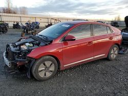 Hyundai Ioniq salvage cars for sale: 2020 Hyundai Ioniq SE