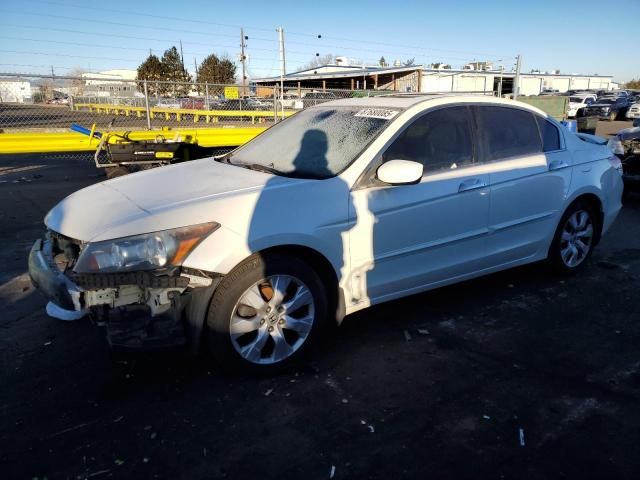 2010 Honda Accord EXL