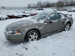 Salvage cars for sale from Copart Davison, MI: 2001 Ford Mustang