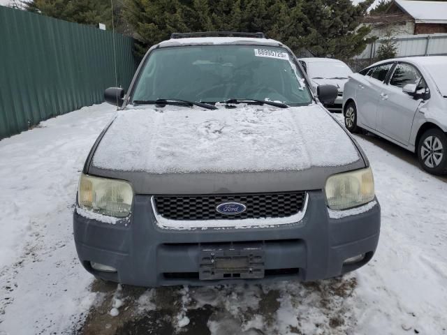 2003 Ford Escape XLT