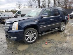 Salvage cars for sale at Waldorf, MD auction: 2008 Cadillac Escalade Luxury