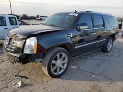 Cadillac Escalade salvage cars for sale: 2008 Cadillac Escalade ESV