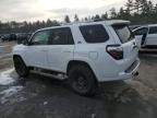 2024 Toyota 4runner SR5/SR5 Premium