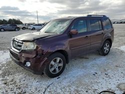 Salvage cars for sale at Taylor, TX auction: 2011 Honda Pilot EXL