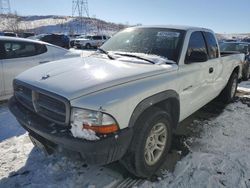 Vehiculos salvage en venta de Copart Littleton, CO: 2002 Dodge Dakota Base