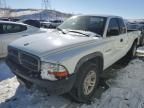 2002 Dodge Dakota Base