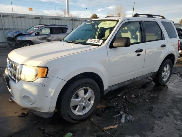 2011 Ford Escape XLT