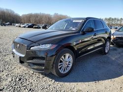 Salvage cars for sale at Windsor, NJ auction: 2018 Jaguar F-PACE Prestige