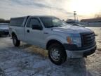 2010 Ford F150