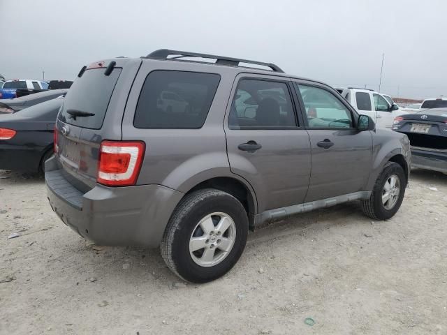 2009 Ford Escape XLT