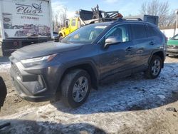 Hybrid Vehicles for sale at auction: 2023 Toyota Rav4 XLE