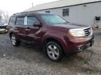 2012 Honda Pilot EXL