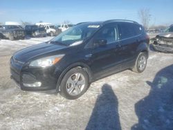 Burn Engine Cars for sale at auction: 2014 Ford Escape SE