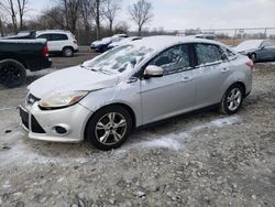 Salvage cars for sale from Copart Cicero, IN: 2013 Ford Focus SE