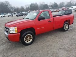 Salvage cars for sale at Madisonville, TN auction: 2008 Chevrolet Silverado C1500