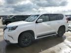 2020 Lexus GX 460 Luxury