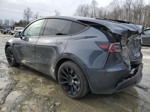 2020 Tesla Model Y