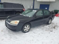 2004 Chevrolet Malibu LS en venta en Colorado Springs, CO