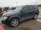 2008 Ford Escape Limited