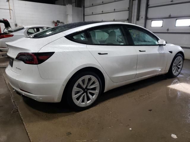 2021 Tesla Model 3