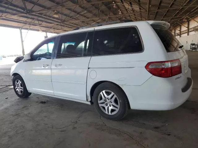 2006 Honda Odyssey EXL