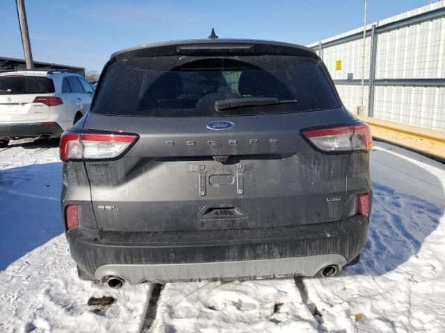 2022 Ford Escape SEL