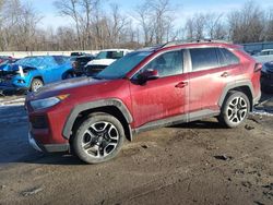 2019 Toyota Rav4 Adventure en venta en Ellwood City, PA