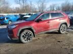 2019 Toyota Rav4 Adventure