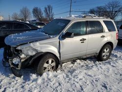 Ford Escape salvage cars for sale: 2009 Ford Escape XLT