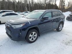 Toyota rav4 xle salvage cars for sale: 2020 Toyota Rav4 XLE