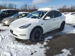 2022 Tesla Model Y en venta en Marlboro, NY