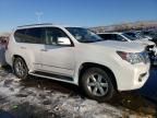 2012 Lexus GX 460 Premium