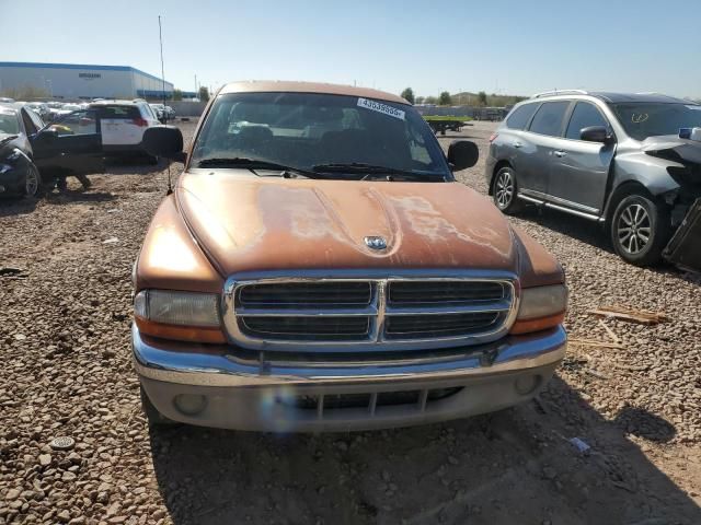 2000 Dodge Dakota Quattro