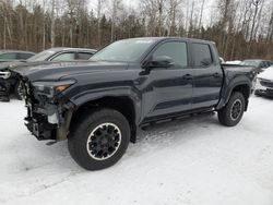 Salvage cars for sale from Copart Cookstown, ON: 2024 Toyota Tacoma Double Cab